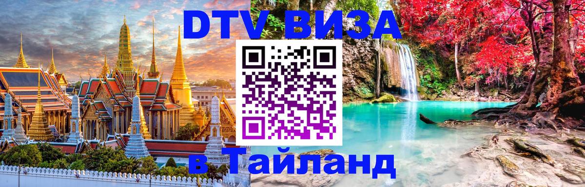 Оформление DTV визы под ключ: стоимость и тарифы, только загранпаспорт - 